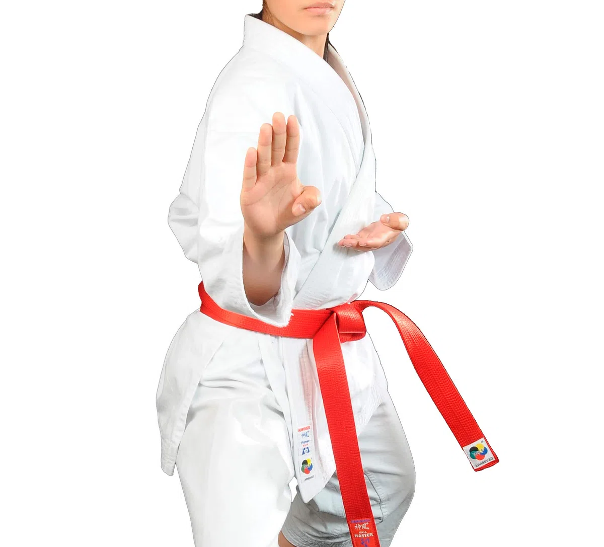 Kamikaze Karategui, Modelo Premier-Kata-WKF