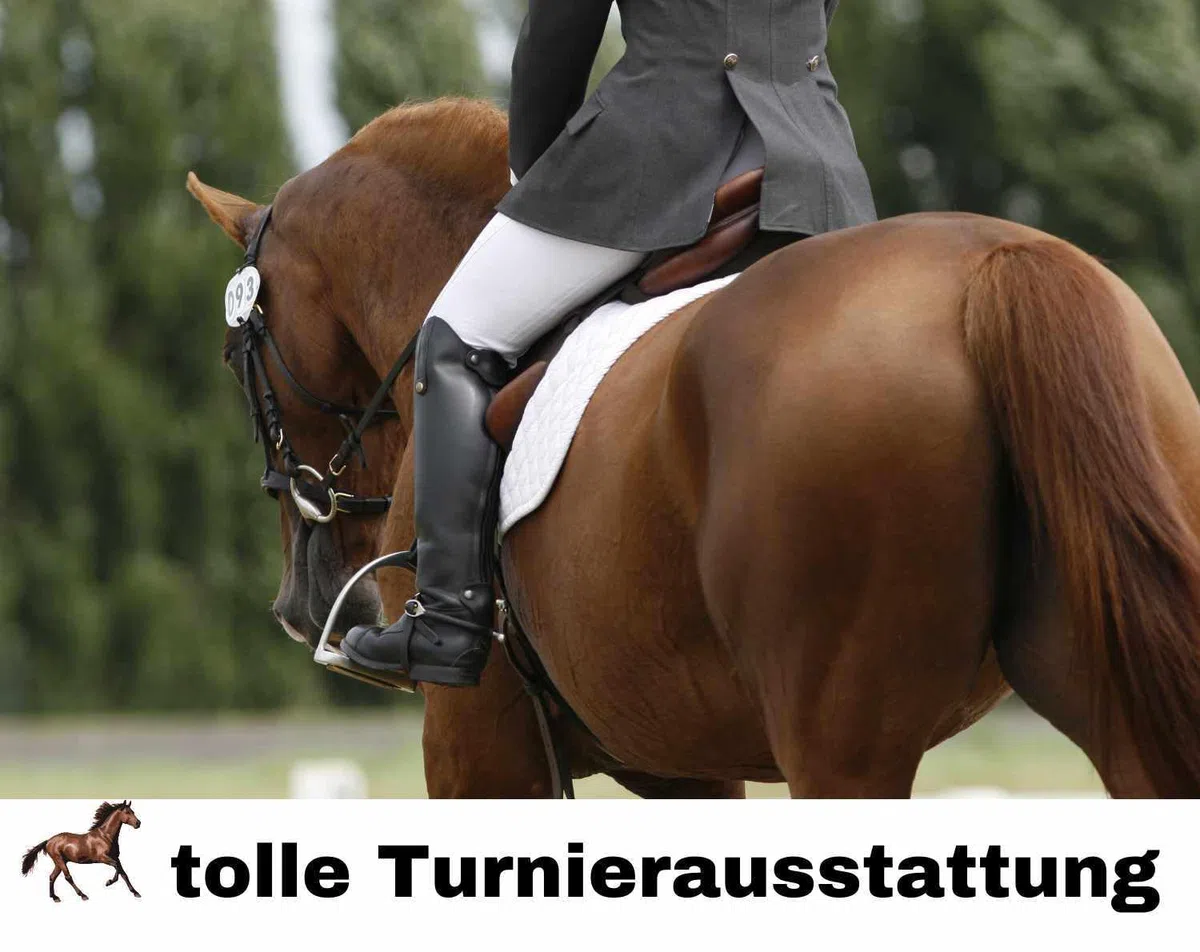 Harry's Horse - Plastrón para montar a caballo para mujer