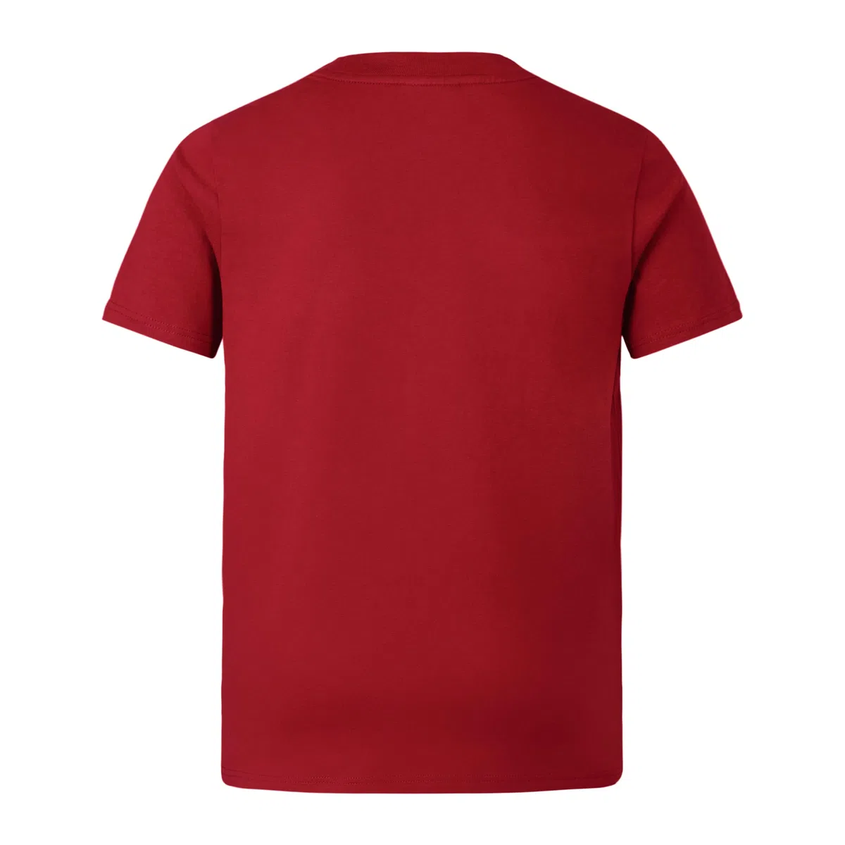 Canterbury British and Irish Lions Cotton Camisa Unisex niños (Pack de 1)
