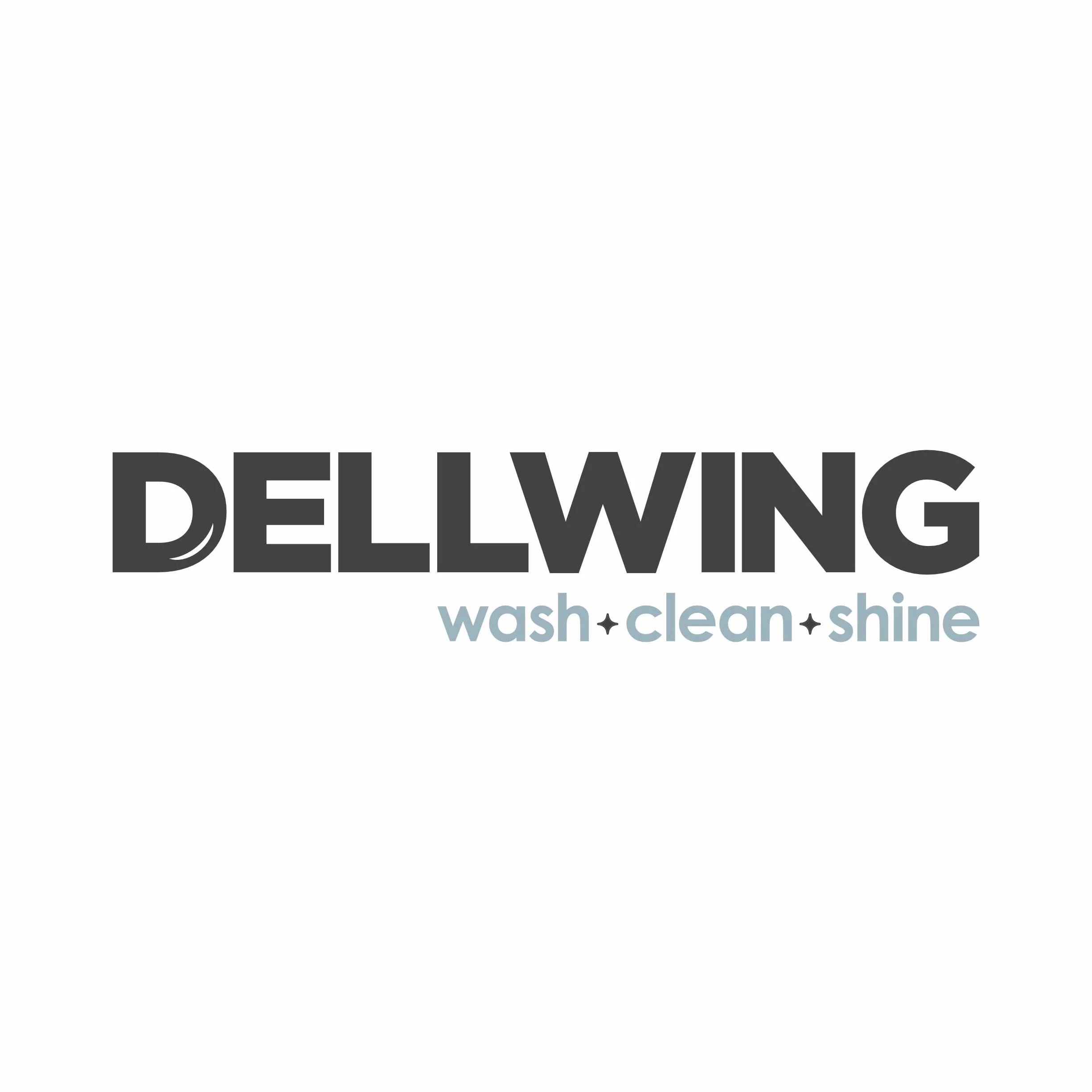 DELLWING HD Special Cleaner Neutral 5L - Limpiador ultrasónico concentrado premium para limpiar vasos, joyas, oro, monedas, vidrio y mucho más.