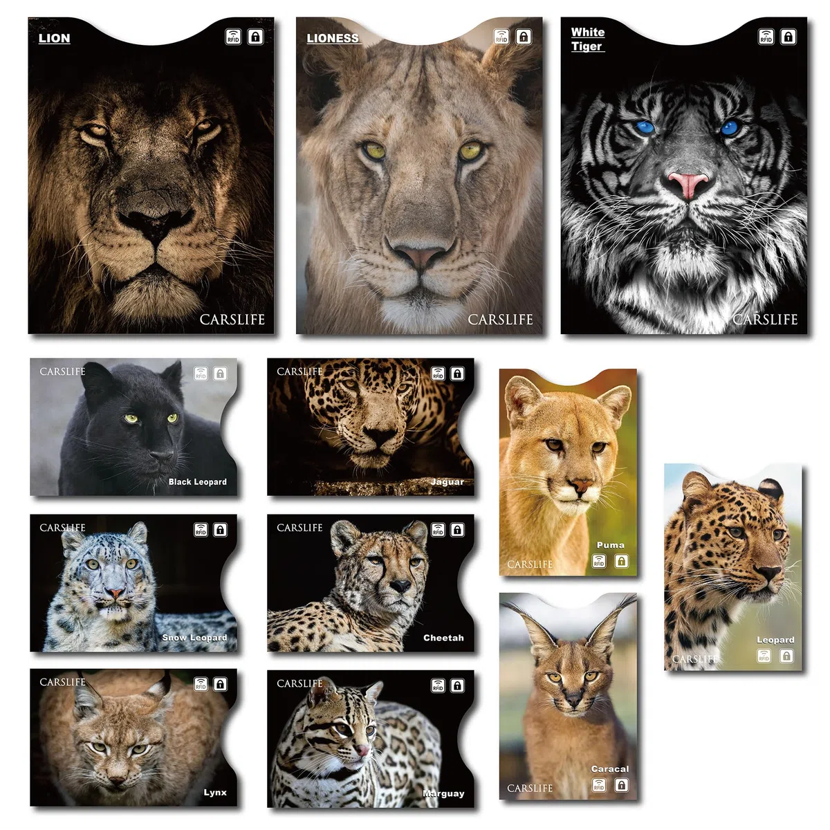 CARSLIFE 12 Fundas de Bloqueo RFID (9 Tarjetas de crédito y 3 Protectores de Pasaporte) Premium protección contra Robo de Identidad Fundas seguras Estuche de Viaje diseño Gato Gato Compacto