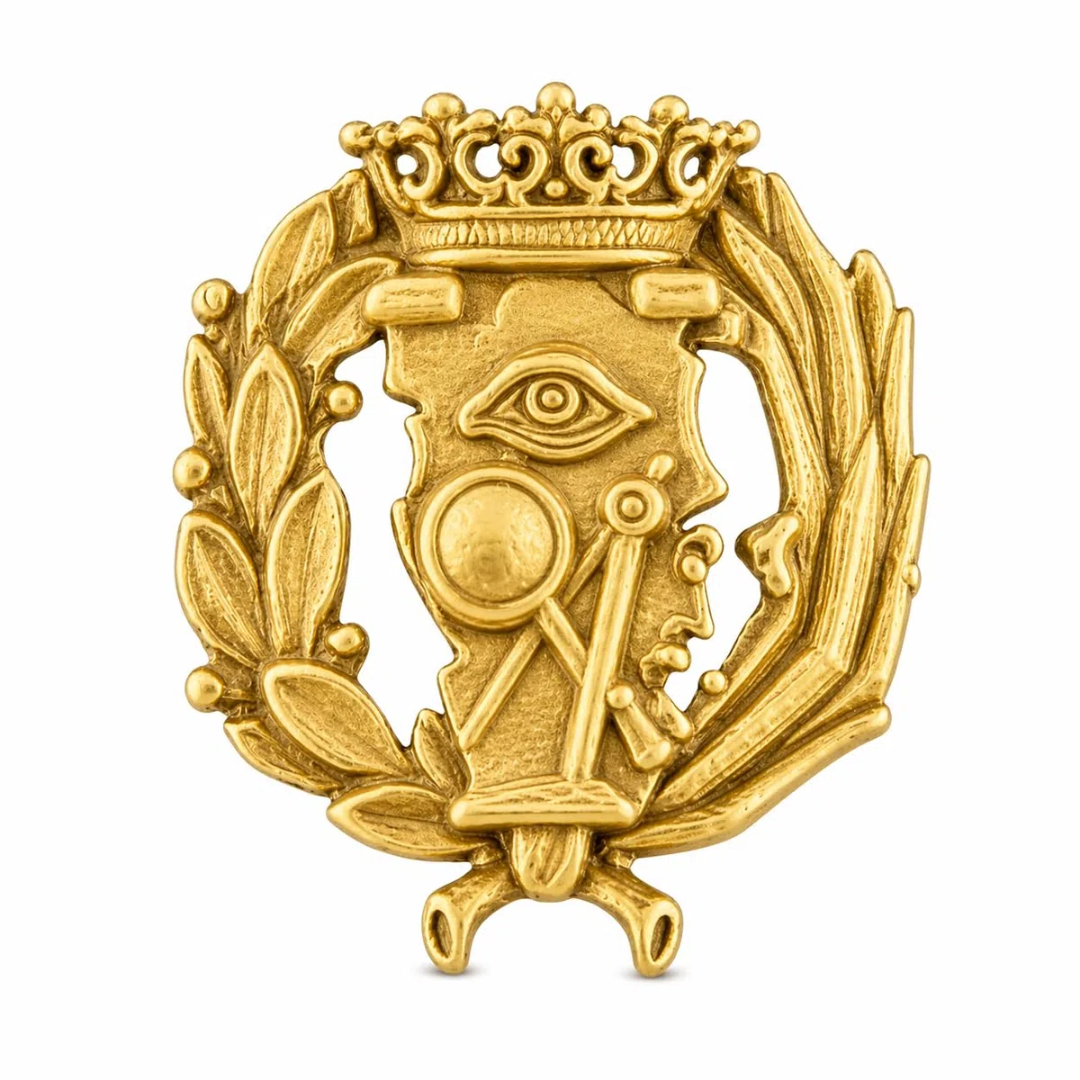 Insignia Profesional de Ciencias Exactas Pin para Hombre Mujer en Plata 925 Chapado en Oro con Estuche para Regalo