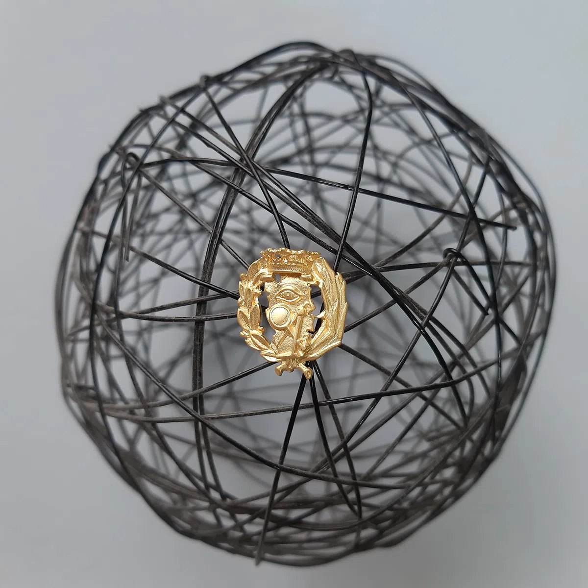 Insignia Profesional de Ciencias Exactas Pin para Hombre Mujer en Plata 925 Chapado en Oro con Estuche para Regalo