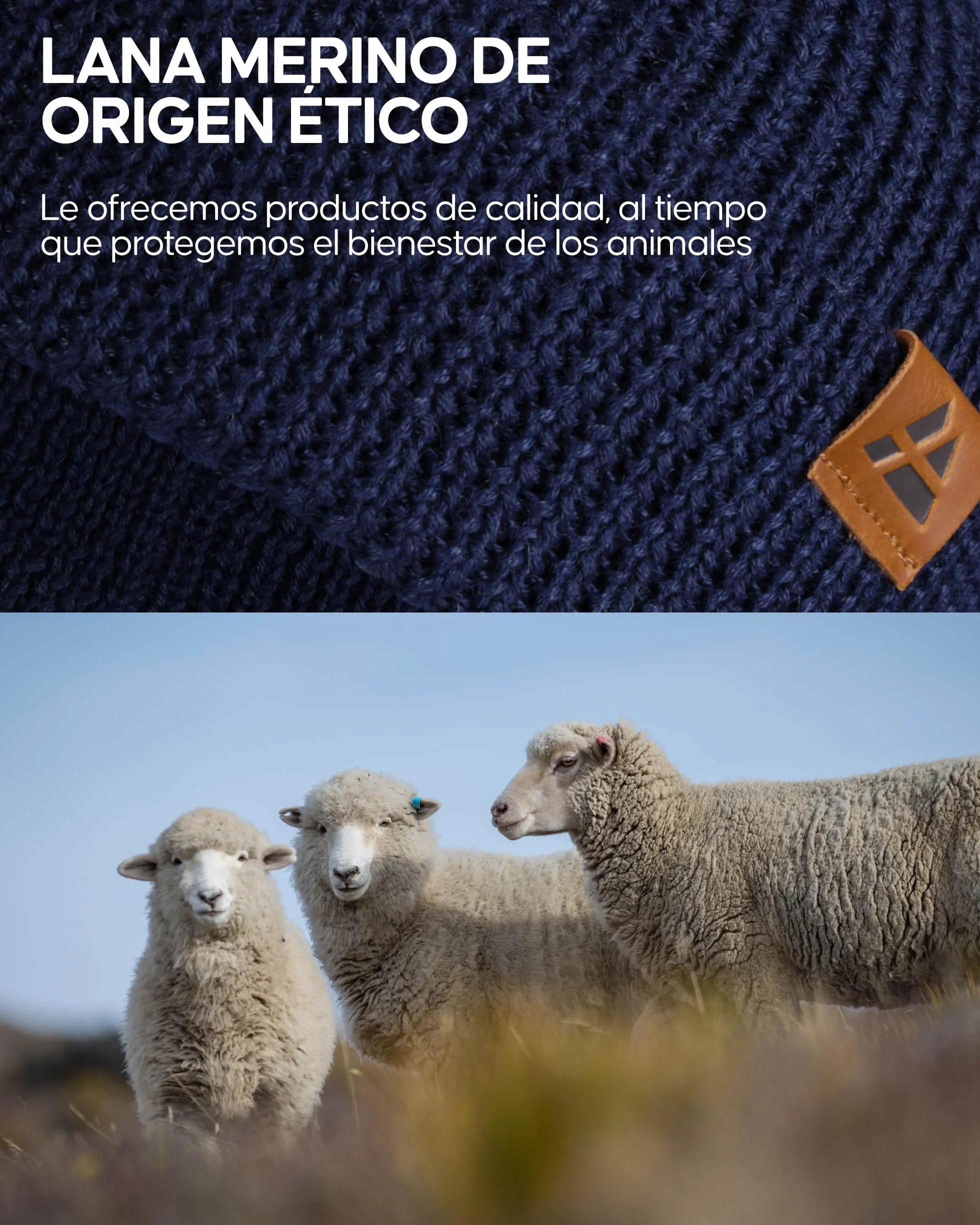 DANISH ENDURANCE Gorro Lana Merino Hombre con Forro Polar, Gorro de Punto, Gorro Invierno Hombre y Mujer