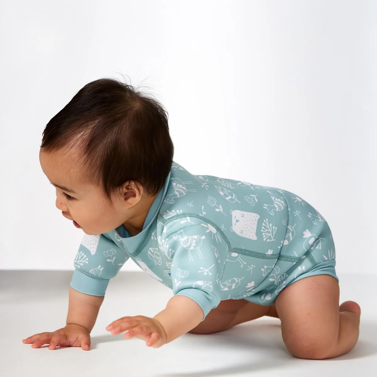Splash About Happy Nappy Wetsuit Traje de baño de una Pieza, Sunny Bear