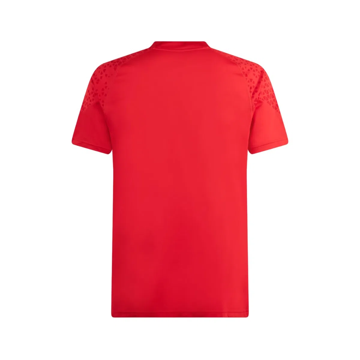 ACM 1899 Camiseta de Entrenamiento 23/24 Camiseta Unisex Adulto