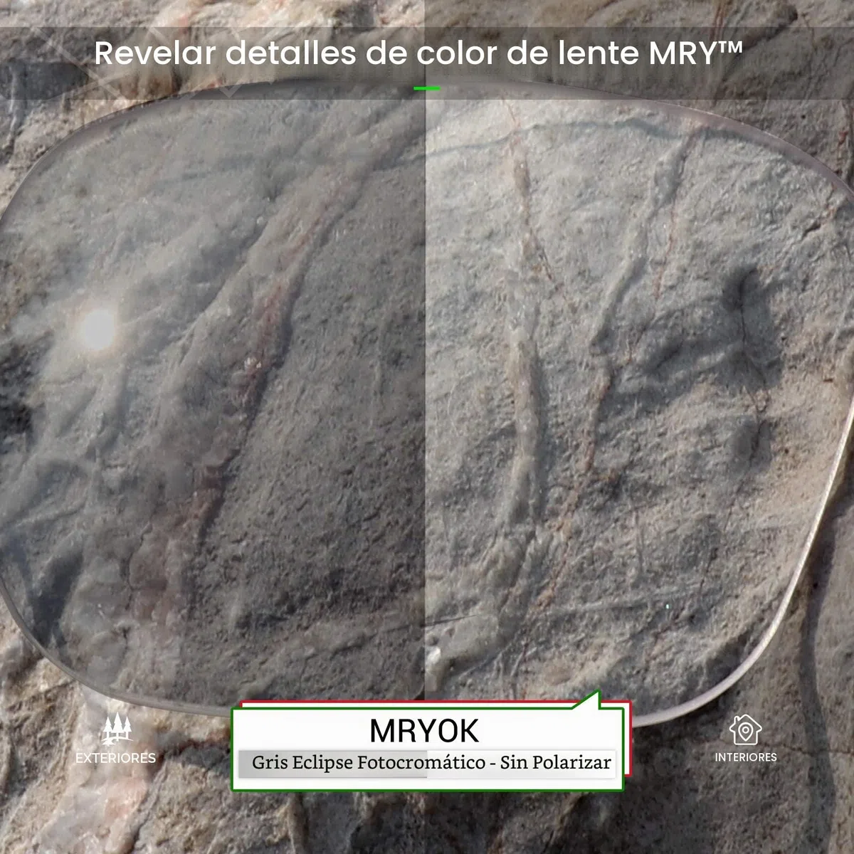 Mryok Lentes de repuesto compatibles con Ray-Ban Meta Wayfarer RW4006 50 mm - Opciones