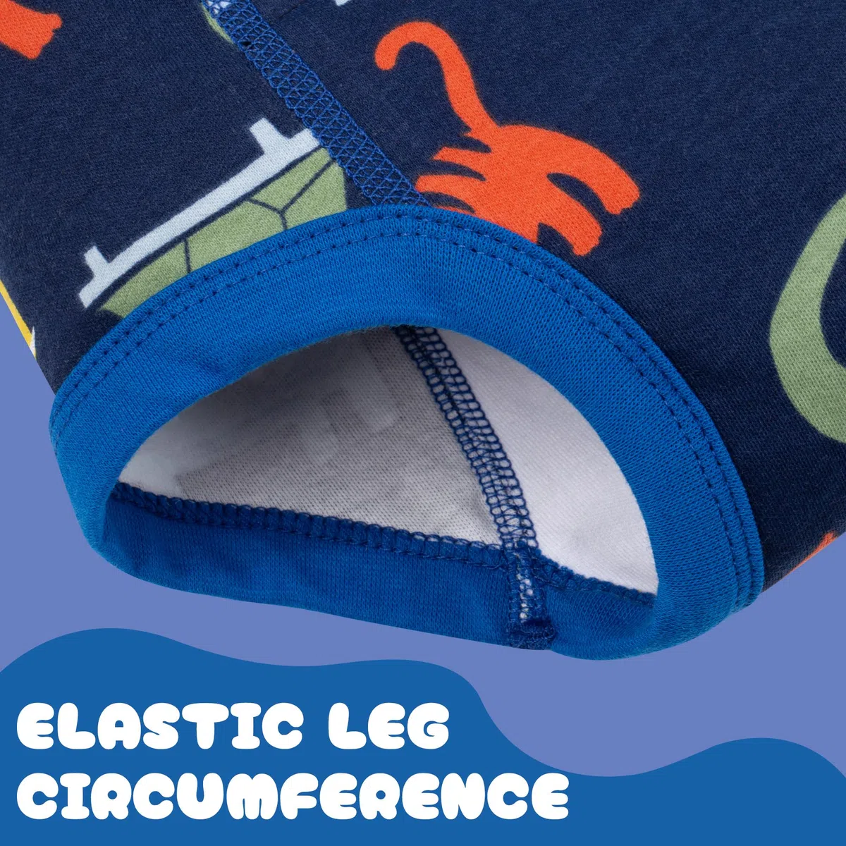 BIG ELEPHANT Ropa Interior de Entrenamiento para IR al baño, 10 Paquetes de Pantalones de Entrenamiento absorbentes para niños y niñas, de 12 Meses a 9 años