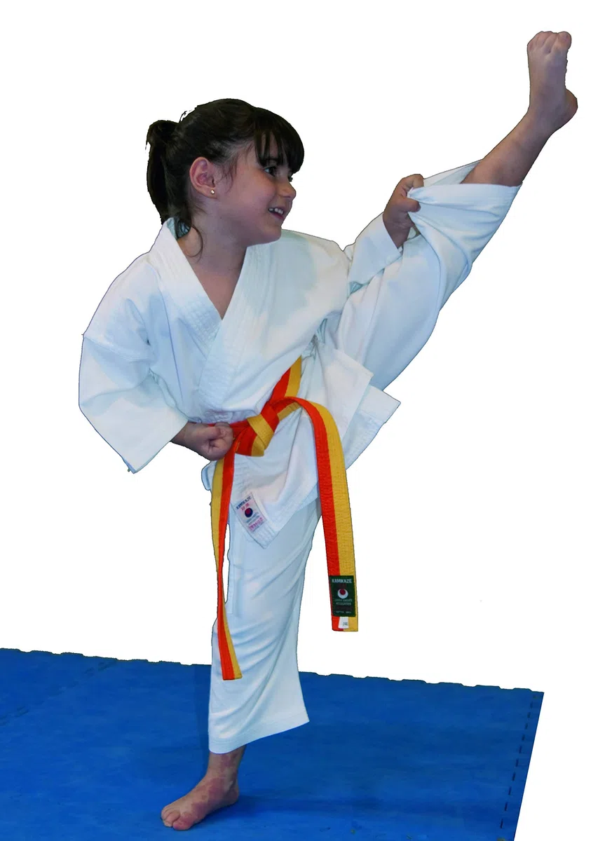 Kamikaze Karategi, Modelo KODOMO Talla Infantil